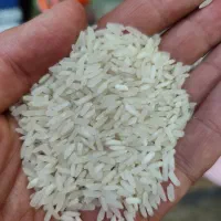 برنج پاکستانی  برنج هندی
