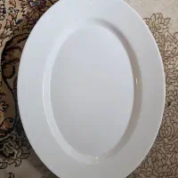 ۲۸ عدد دیس ارکوپال فرانسوی اصل