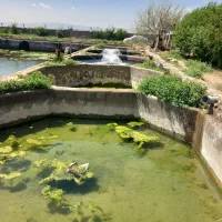 کارگر پرورش ماهی
