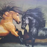 قاب عکس