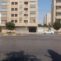 شریک تجاری