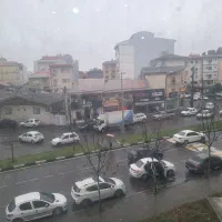 رفیق همیشگی(پیش فروش بر اصلی)