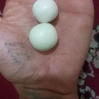 سنگ الماس آسیاب