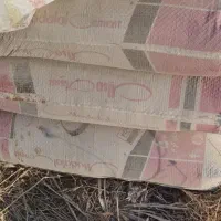 سیمان