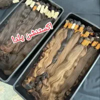 بالاترین خریدار مو(صادرکننده) خریدار موی طبیعی