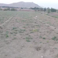 فروش زمین صحرایی