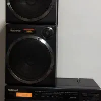 ضبط ناسیونال