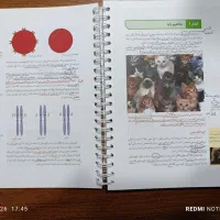جزوه سیاه سفید فرهمندنیا ماز ۱۴۰۵ سه جلدی