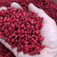 خرید زرشک نقدی