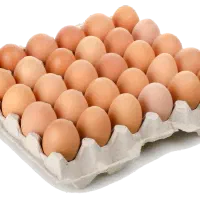 فروش ۲ شانه تخم مرغ محلی