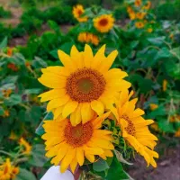 همکاری در حوزه ملک واملاک