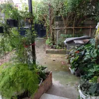 2-قطعه-زمین-فروشی-هشتگرد