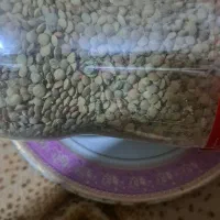 عدس و نخود میچینم