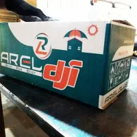 کارتن سازی راشا