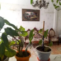 فروش آپارتمان مسکن مهر۱|فروش آپارتمان|سبزوار, توحیدشهر|دیوار