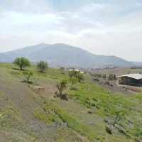 استخدام کارگر دامداری