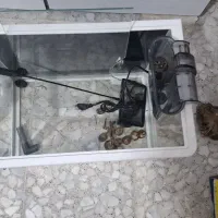 اکواریوم با تمام وسایلش