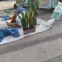 خدمات باغبانی درتمام نقاط تهران و تعویض خاکگلدان