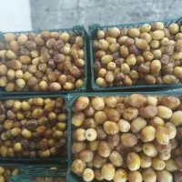 رطب خارک برحی درجه یک