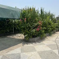 زمین ۳۷۵ متری دزک، شهرک سبز، دو بر،دزک