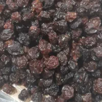 الو خورشتی وکشمش
