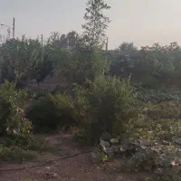 فروش زمین مسکونی و باغچه