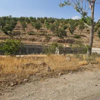 زمین-ویلایی