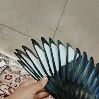 می ن ا دستی پرند ه
