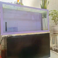 آکواریوم درحد نو