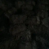 پرس شبدر