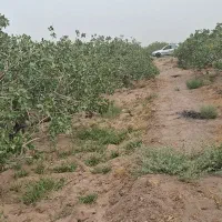 زمین مسکونی احمدآباد