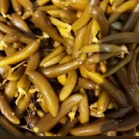 خیارشور تازه