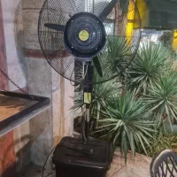 پنکه فشن