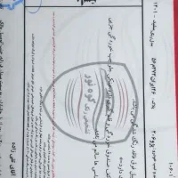 پژو ۲۰۶ تیپ ۲ مدل ۱۴۰۱-۳۷ تا کار