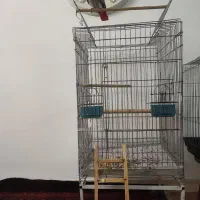 قفس کاسکو کاکادو
