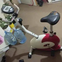 دوچرخه ثابت حرفه ای