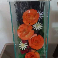 باکس گل خشک نو