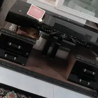 میز تی وی سالم