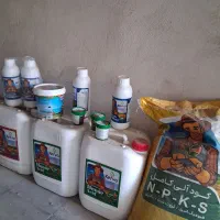محصولات کشاورزی باهامون حرف میزنه