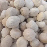 گشک گوسفندی