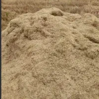 کاه کامپا گندم دیم