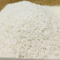 فروش برنج هاشمی ۲۰کیلویی مستقیم از کشاورز