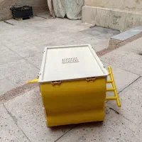 لونه طوطی وپاریس
