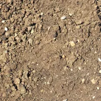 کود مرغ گوشتی وتخم گذار