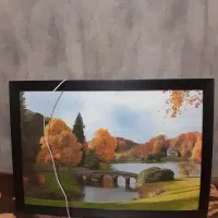 تابلو دیواری چراغ دار  در حد نو
