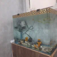 آکواریوم