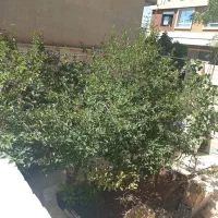 فروش-خانه-ویلایی-نزدیک-به-مرکز-شهر
