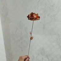 گل رز مسی