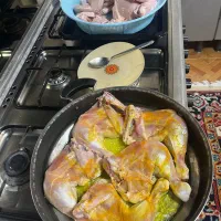 غذای خونگی