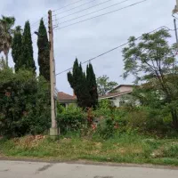 فروش زمین مسکونی / سند تک برگ / خ فرهنگ یک / رویان